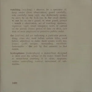 Watching the hydroplanes